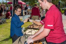 Carnival Photos 2017