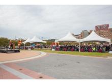  Carnival Photos 2018