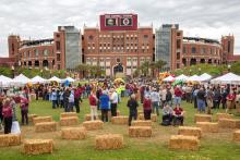 Carnival Photos 2019