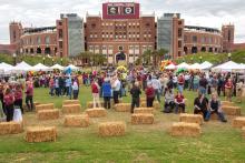 Carnival Photos 2019