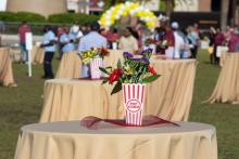 Carnival Photos 2022