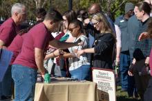 Carnival Photos 2022