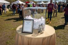 Carnival Photos 2022