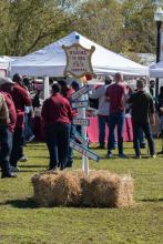 Carnival Photos 2022