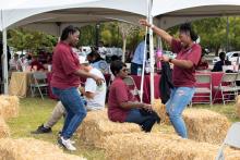 F&amp;A Appreciation Carnival 2023